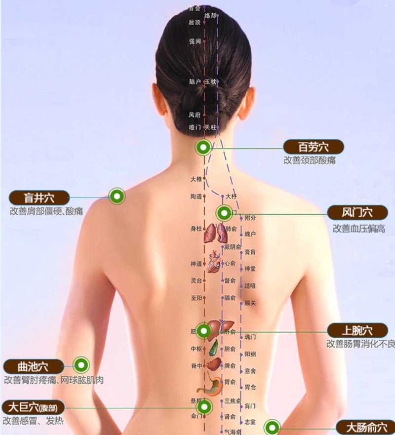 经络养生:解开身体密码,焕发健康活力