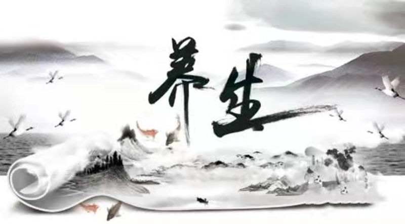 经络养生:传统智慧与现代生活的完美融合